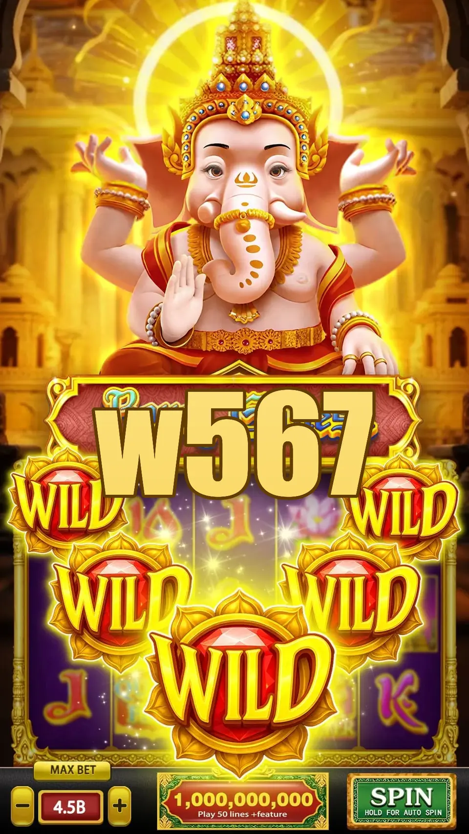 w567 Login